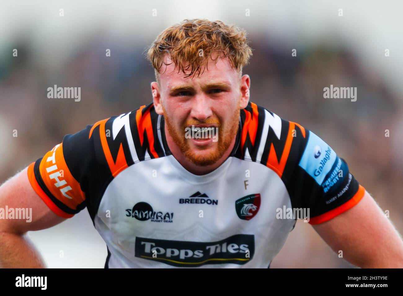 30 ottobre 2021; Cinch Stadium at Franklin Gardens, Northampton, Inghilterra; Gallagher Premiership Rugby, Northampton Saints Versus Leicester Tigers; Oli Chessum of Leicester Tigers Foto Stock