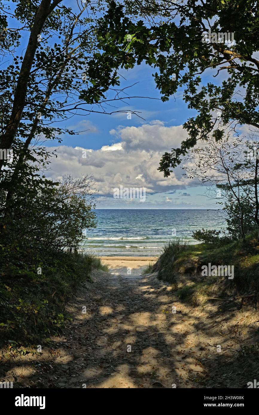 Vista sul mare dalla foresta delle fiabe di RÃ¼gen. Foto Stock