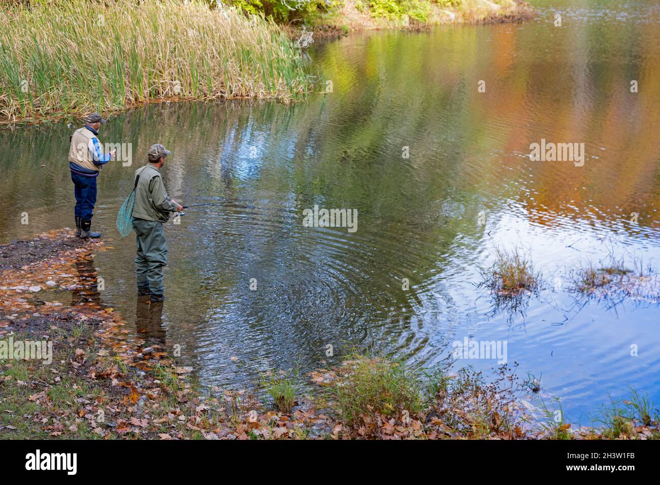 Marlinton, Virginia Occidentale - pesca sportiva alla trota arcobaleno nel lago Watoga nel Watoga state Park. Foto Stock