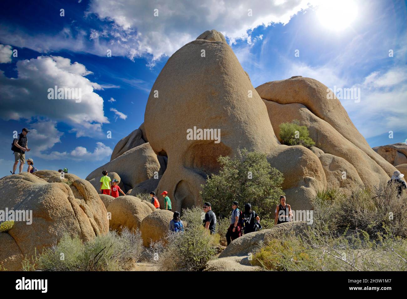 Skull Rock nel Joshua Tree National Park in California Foto Stock