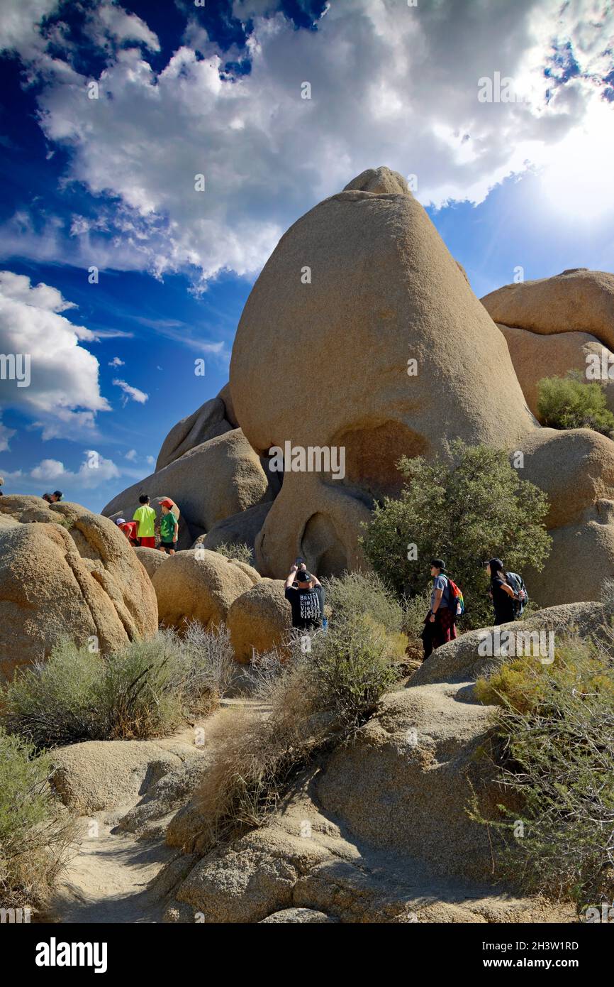 Skull Rock nel Joshua Tree National Park in California Foto Stock