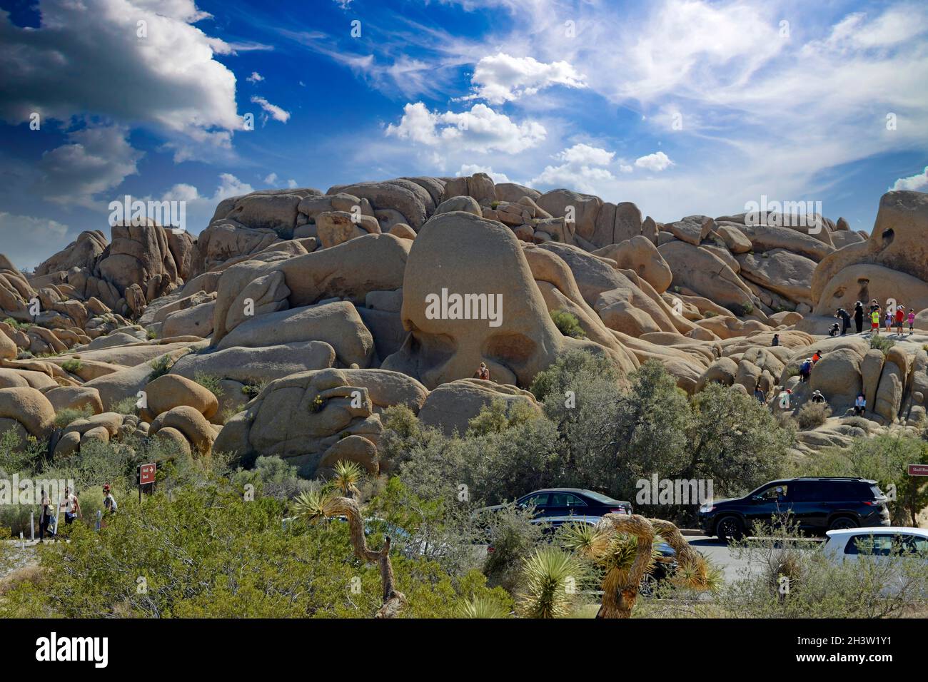 Skull Rock nel Joshua Tree National Park in California Foto Stock