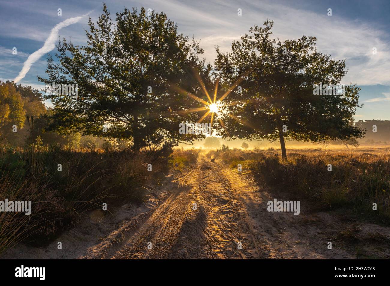 Wahner Heide paesaggio vicino a Troisdorf , mattina presto a Oktober. Foto Stock