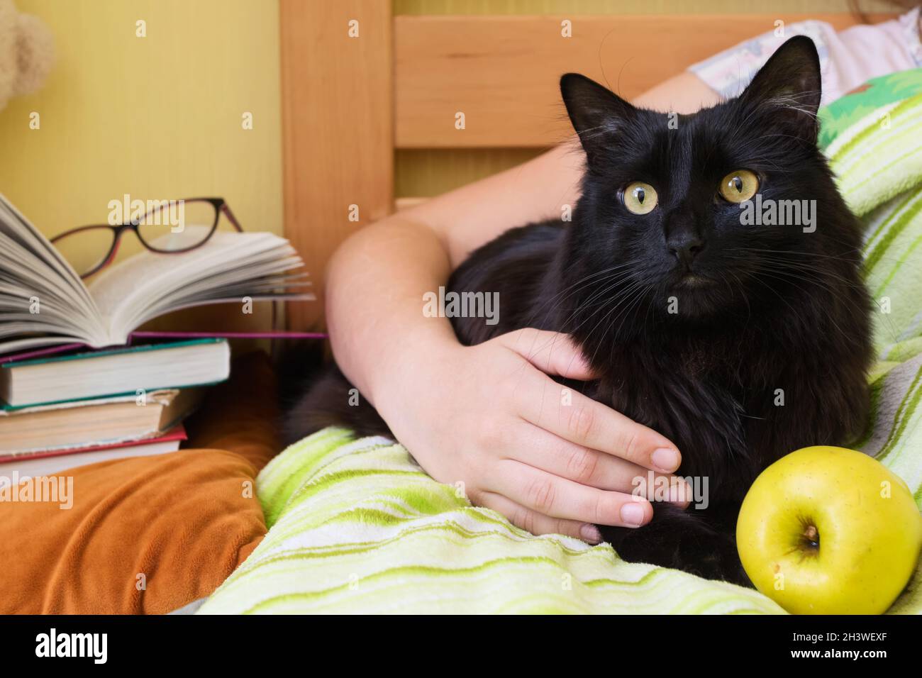 Un bambino con un libro a letto abbraccia un gatto. Foto Stock