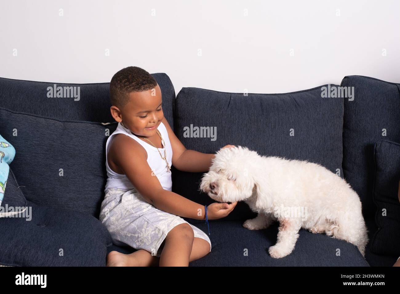 Bambino età prescolare a casa sul divano con il cane da compagnia Foto Stock