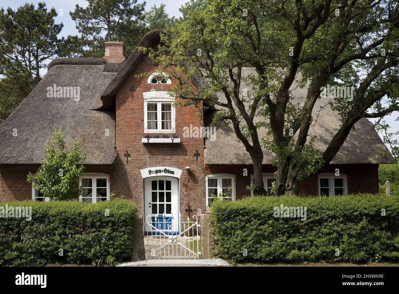 Casa con tetto in paglia, casa frisone, Nebel, isola di Amrum, Mare del Nord, Frisia settentrionale, Germania, Europa Foto Stock