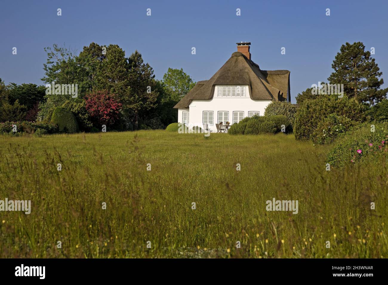 Casa con tetto in paglia, casa frisone, Nebel, isola di Amrum, Mare del Nord, Frisia settentrionale, Germania, Europa Foto Stock