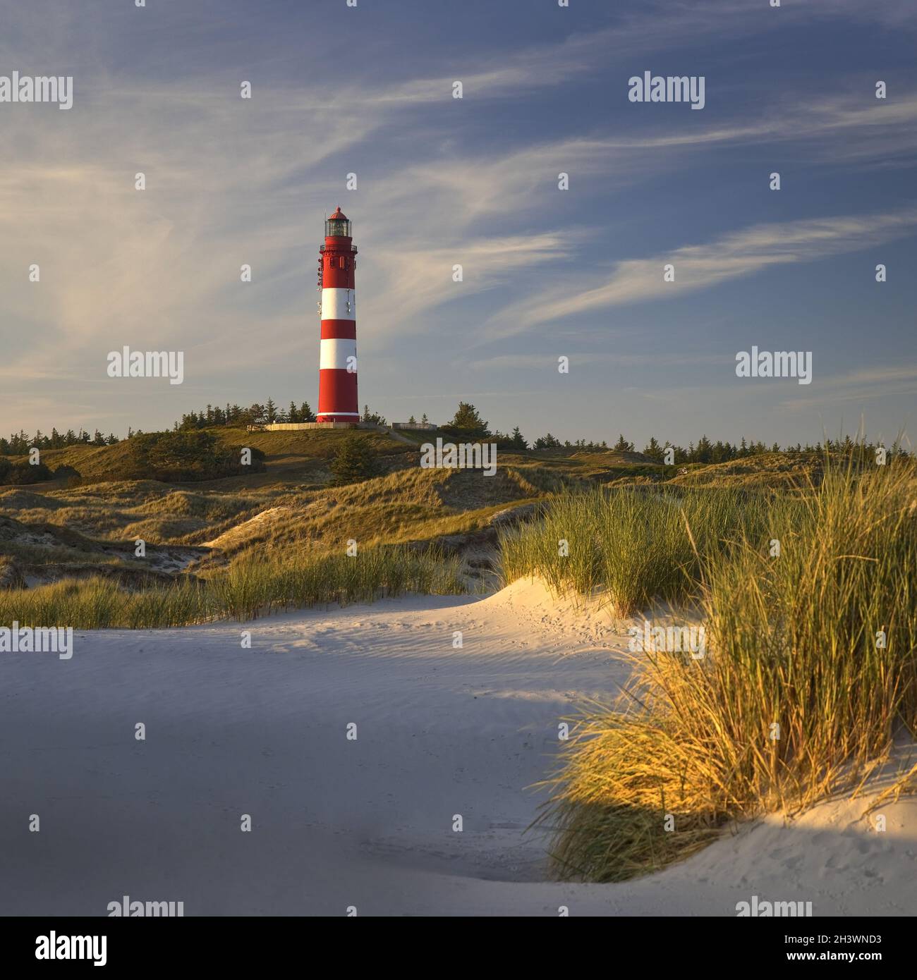 Dune alla luce della sera con il faro, Amrum Island, Schleswig Holstein, Germania, Europa Foto Stock