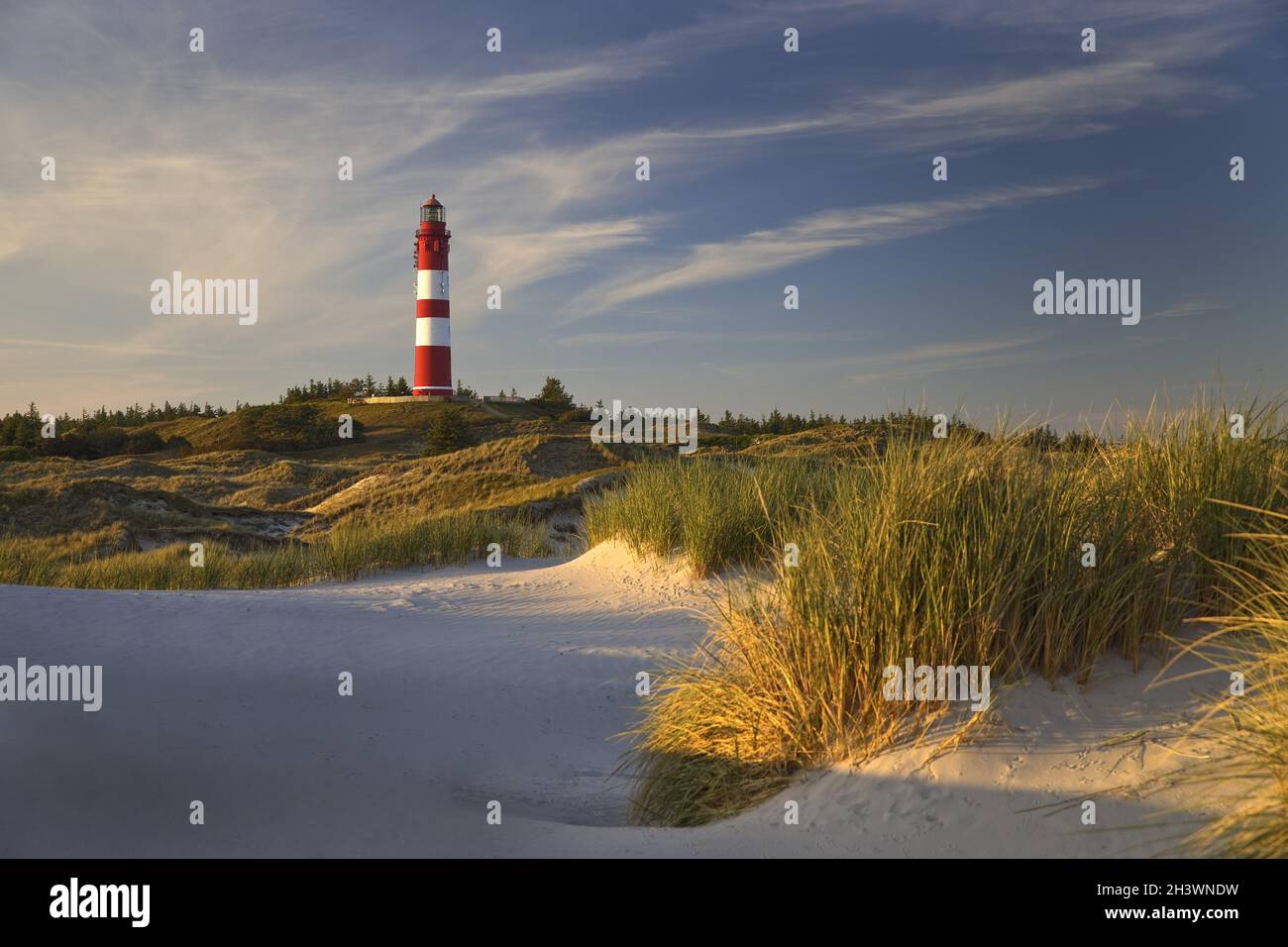 Dune alla luce della sera con il faro, Amrum Island, Schleswig Holstein, Germania, Europa Foto Stock