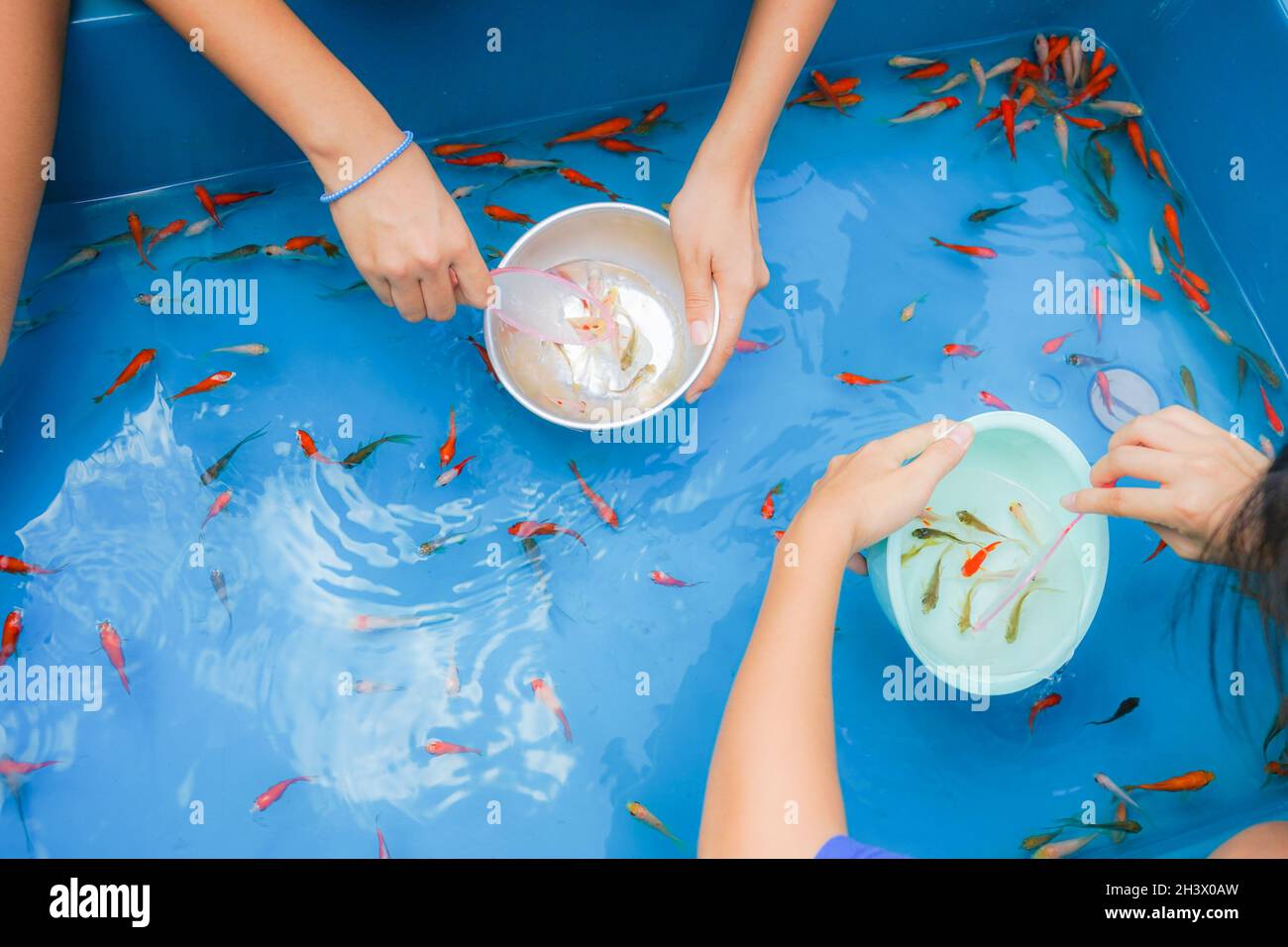 Immagine della salvezza del pesce d'oro della fiera Foto Stock