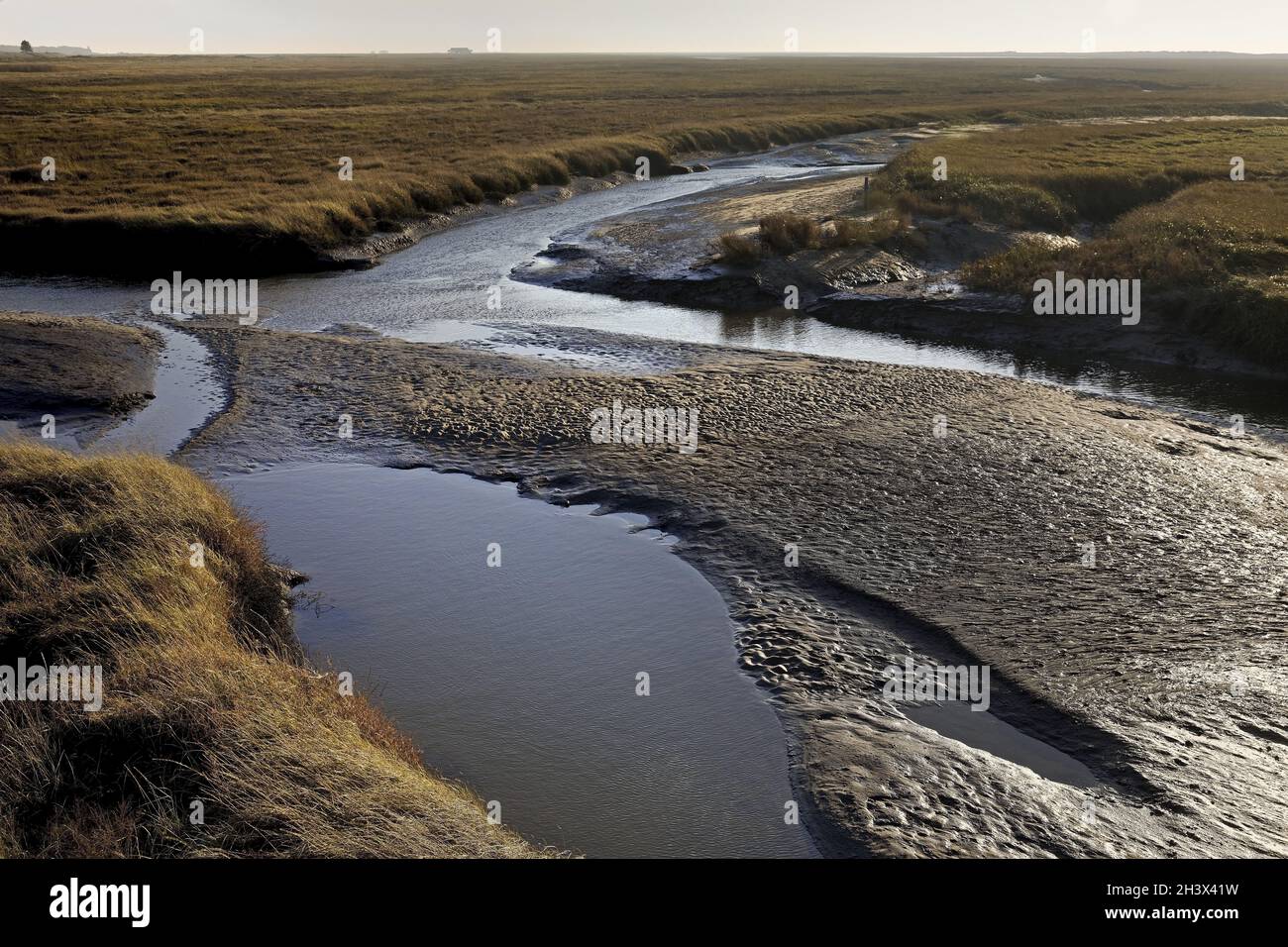 Priele nel Mare di Wadden, Sankt Peter-Ording, Parco Nazionale del Mare di Wadden, Germania, Europa Foto Stock
