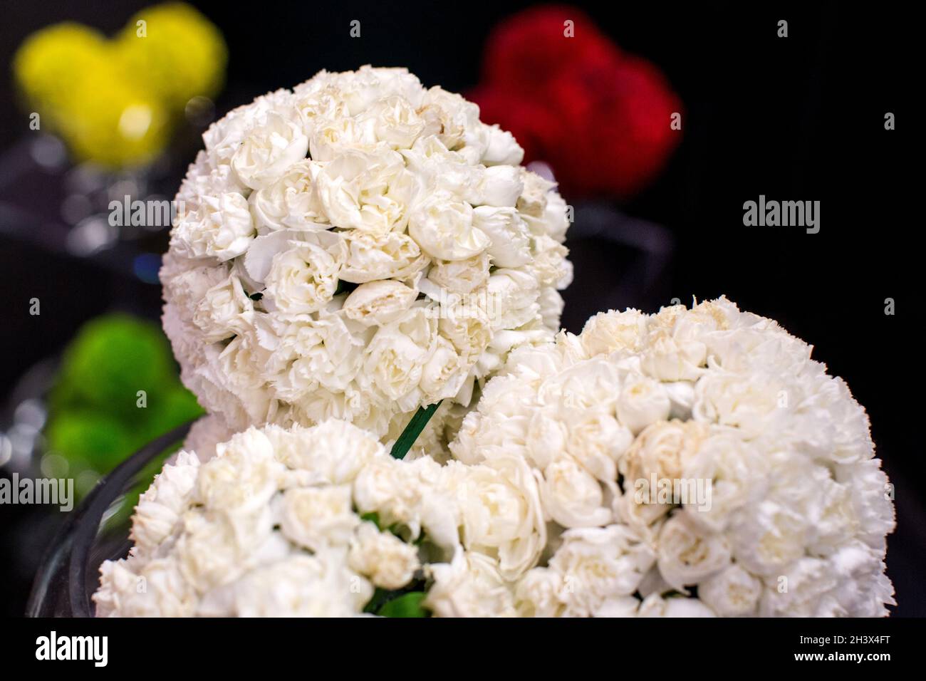 Composizione floreale di rose in mostra in occasione di un evento. Foto Stock