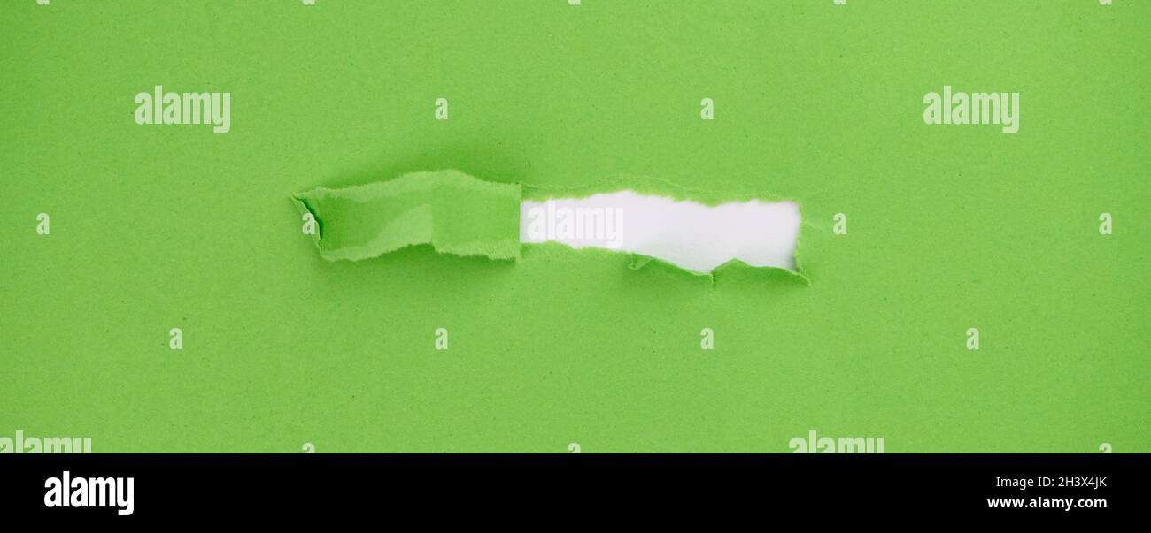 carta verde strappata al centro, spazio di copia per qualsiasi testo, formato banner web Foto Stock