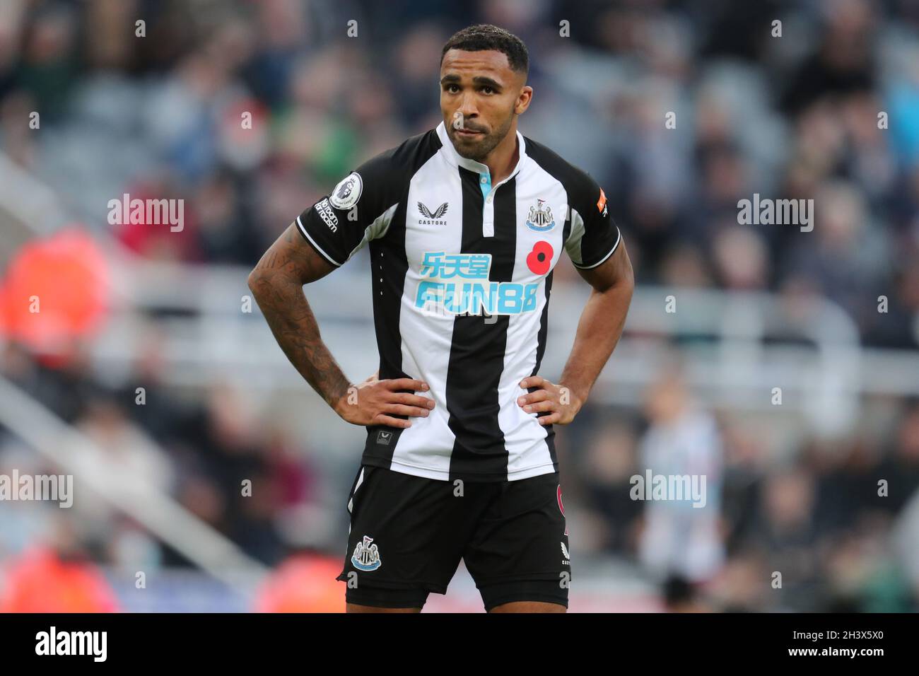 CALLUM WILSON, NEWCASTLE UNITED FC, 2021 Foto Stock