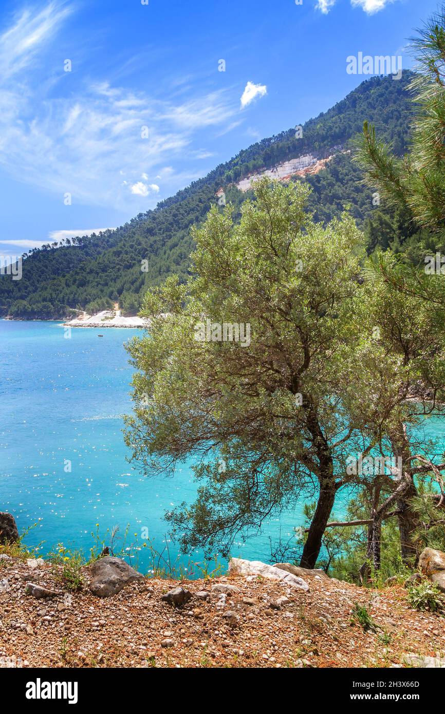 Baia di Marble Beach, Isole Thassos, Grecia Foto Stock