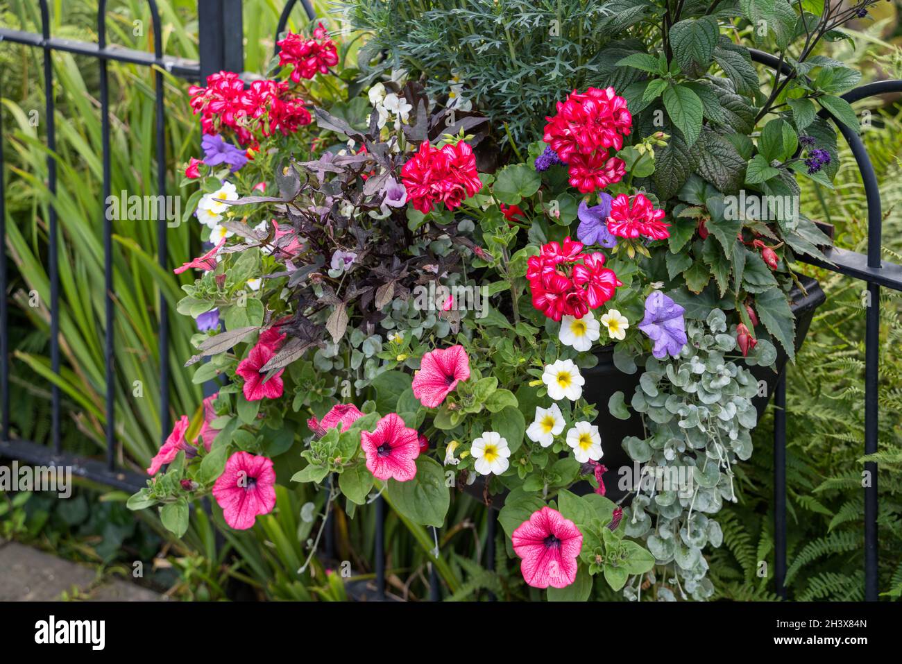 Vista di una mostra di fiori a Quarry Park, Shrewsbury, Shropshire, Inghilterra Foto Stock