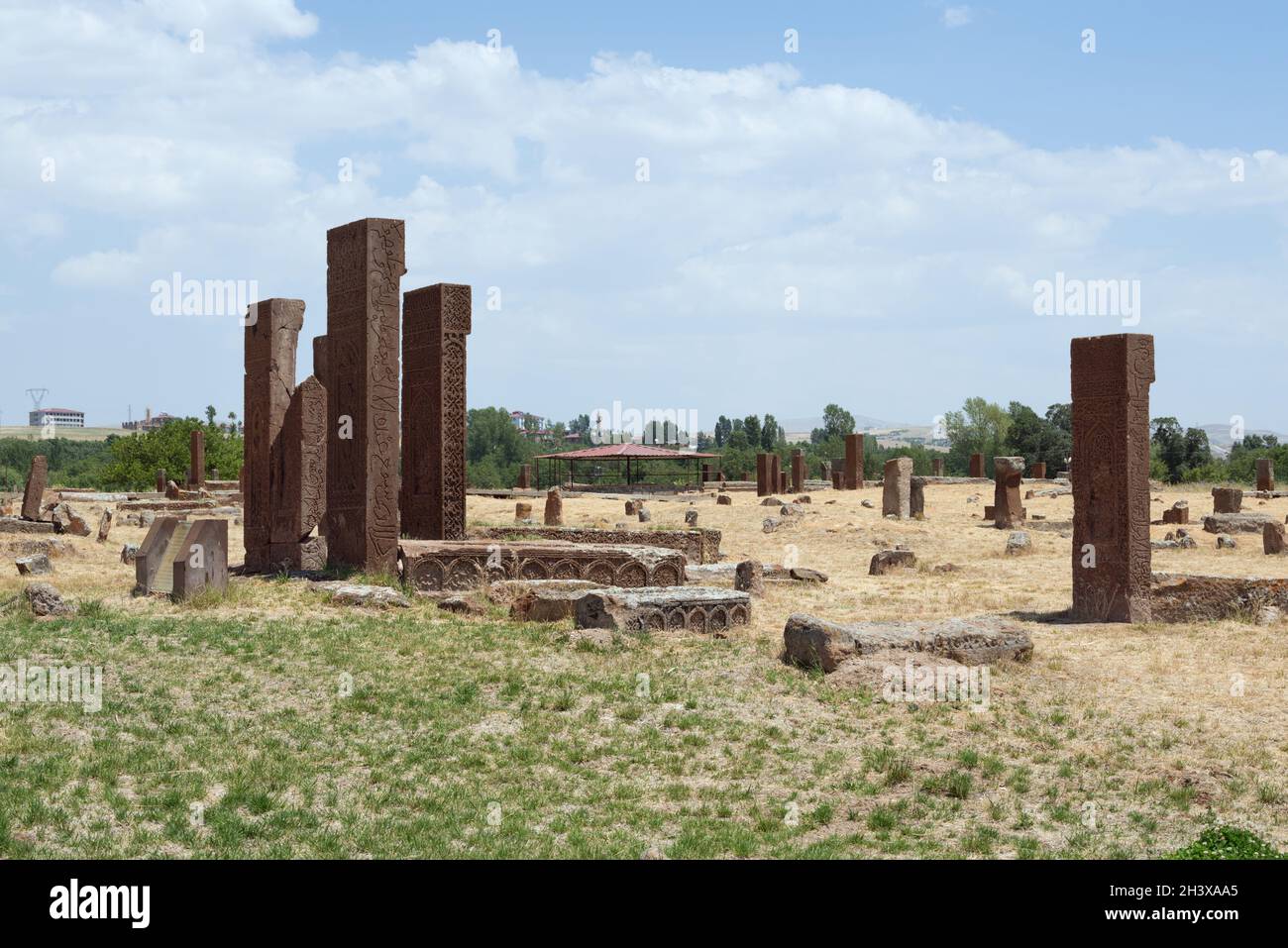 Cimitero Ahlat Seljuk nella Turchia orientale (provincia di Bitlis) Foto Stock