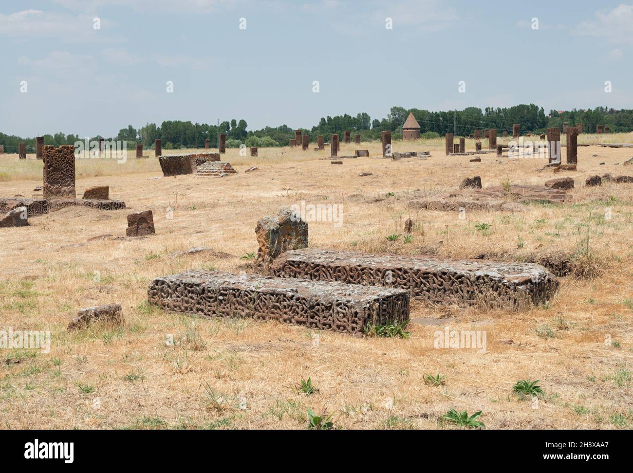 Cimitero Ahlat Seljuk nella Turchia orientale (provincia di Bitlis) Foto Stock