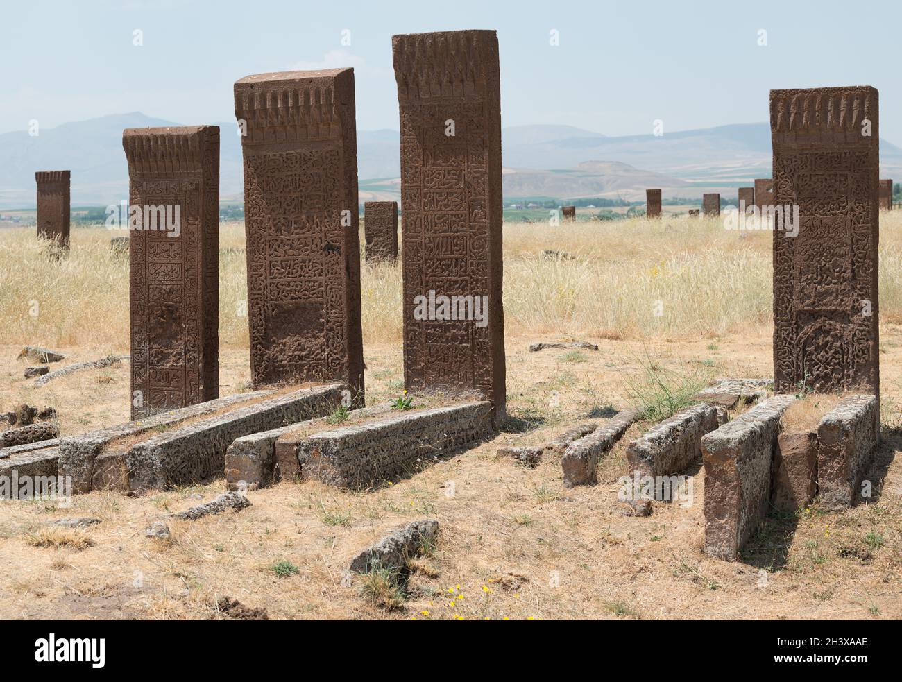 Cimitero Ahlat Seljuk nella Turchia orientale (provincia di Bitlis) Foto Stock