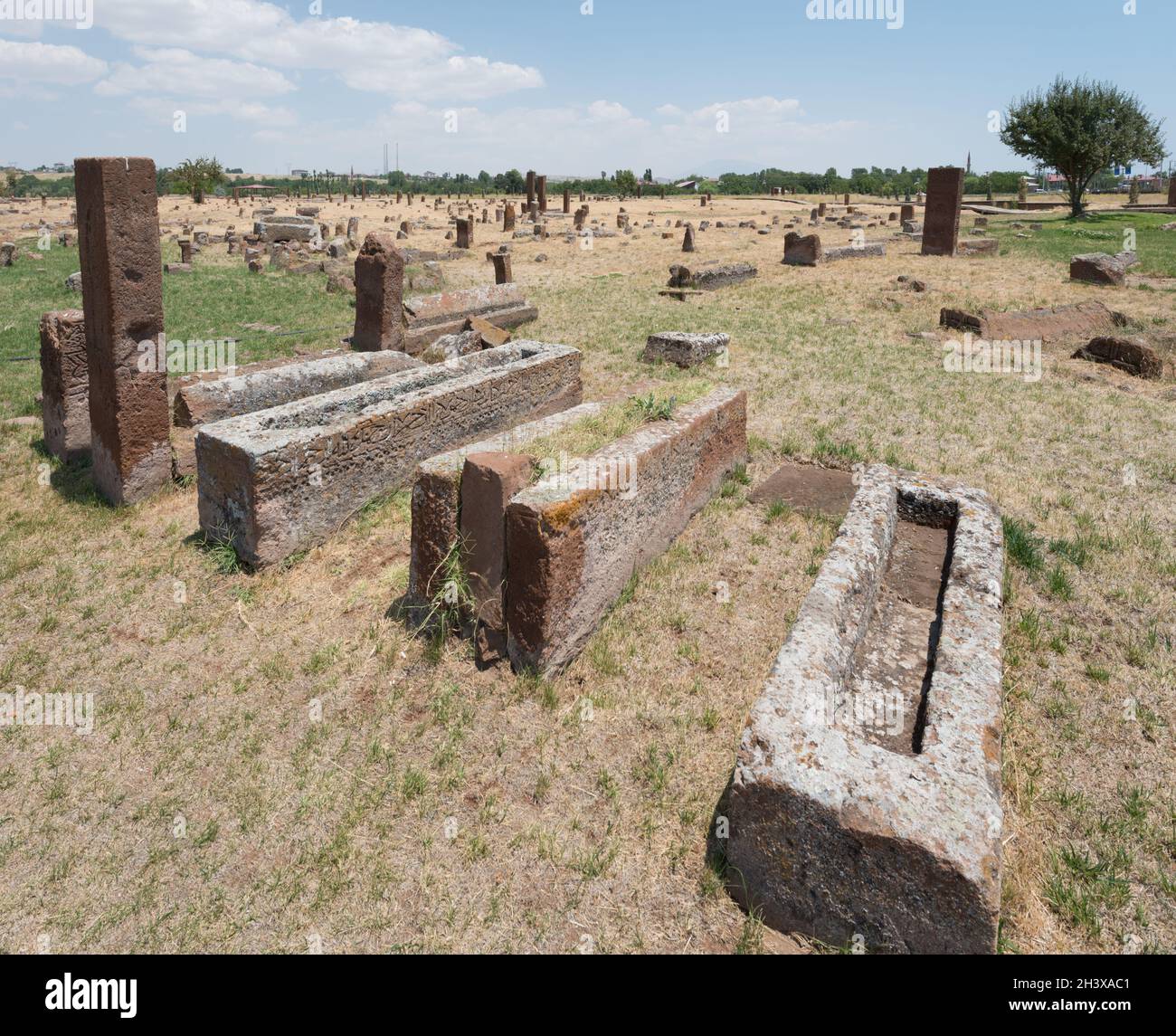 Cimitero Ahlat Seljuk nella Turchia orientale (provincia di Bitlis) Foto Stock