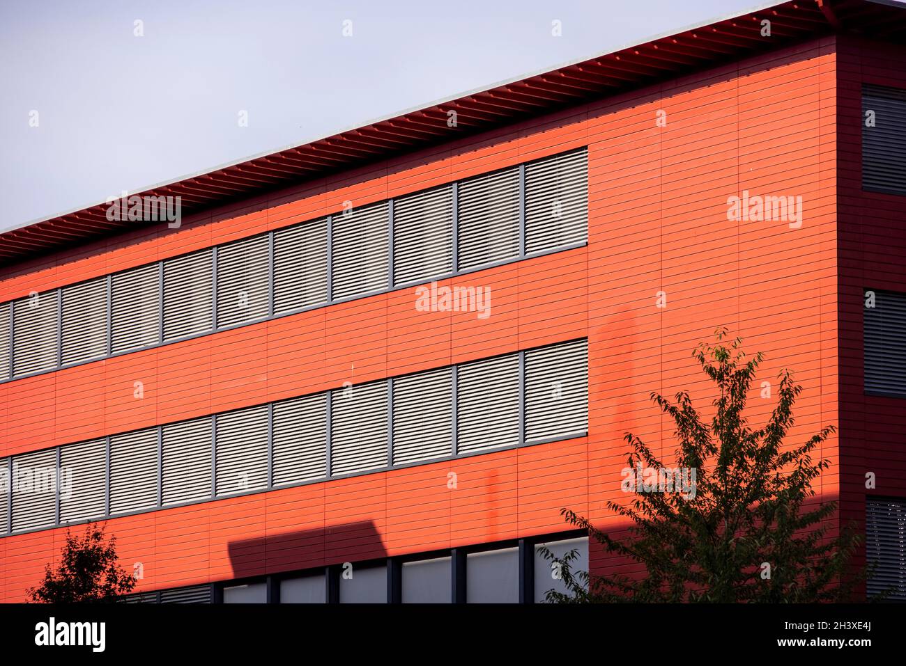 Collège Sismondi scuola secondaria pubblica, Ginevra, Svizzera Foto Stock