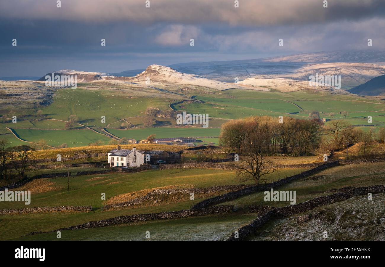 La Lower Winskill Farm è evidenziata da una luce invernale irregolare con le cicatrici calcaree innevate delle Yorkshire Dales che si innalzano dietro. Foto Stock