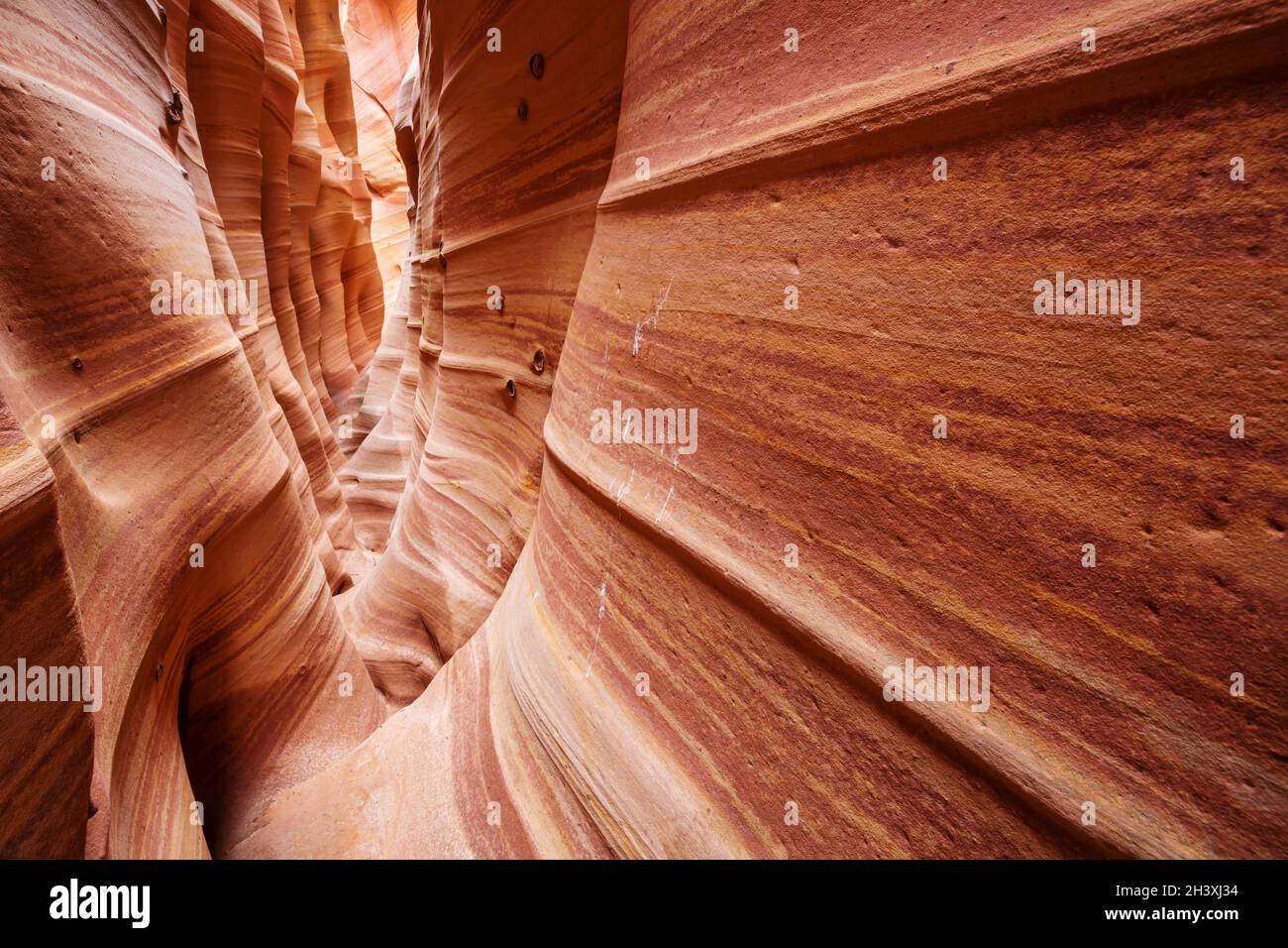 Canyon della scanalatura Foto Stock