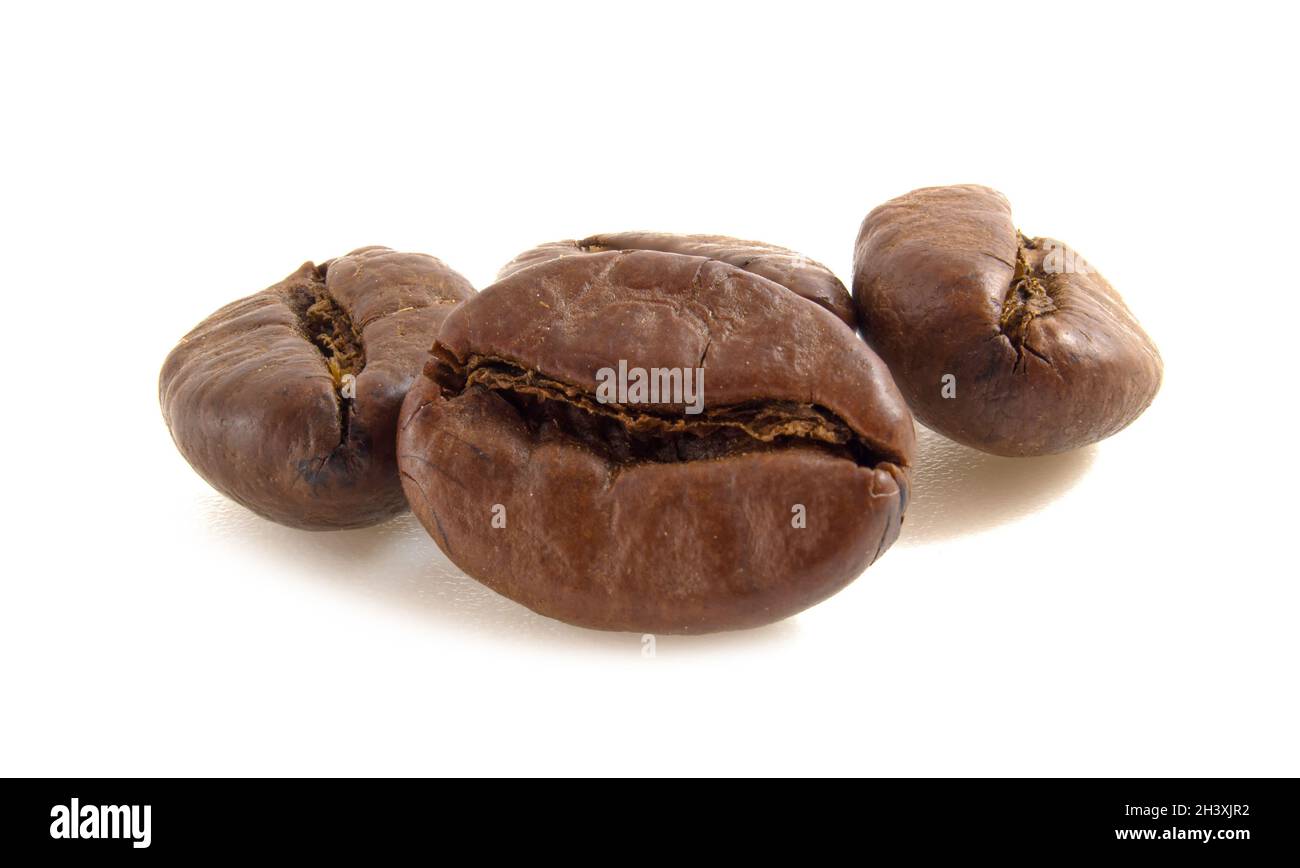 I chicchi di caffè arabica si chiudono isolati su sfondo bianco. Foto Stock