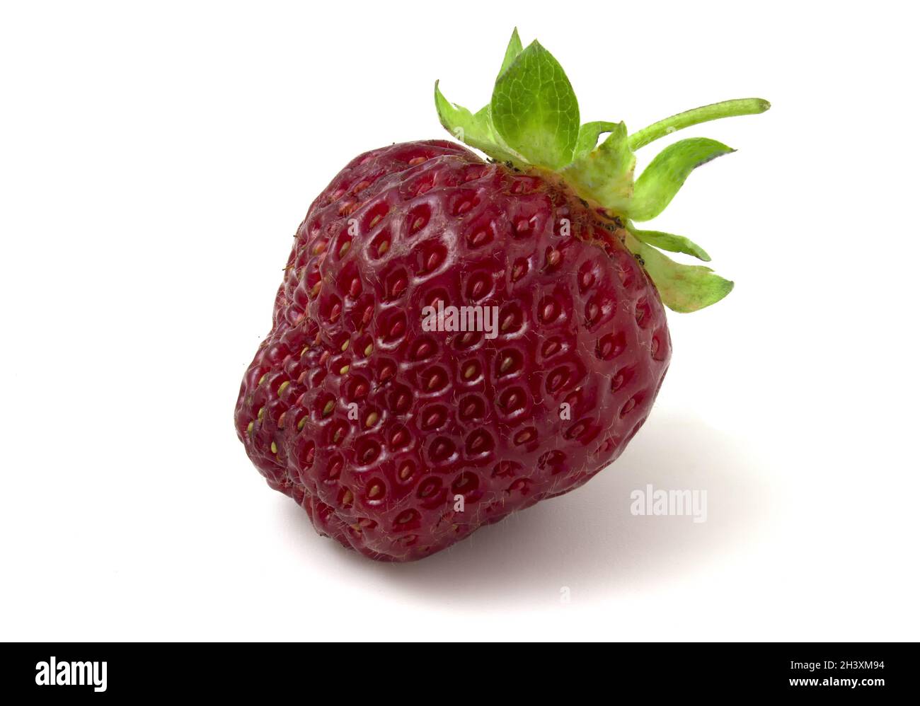 Fragole fresche con foglie verdi isolate su sfondo bianco. Deliziosa frutta rossa. Foto Stock