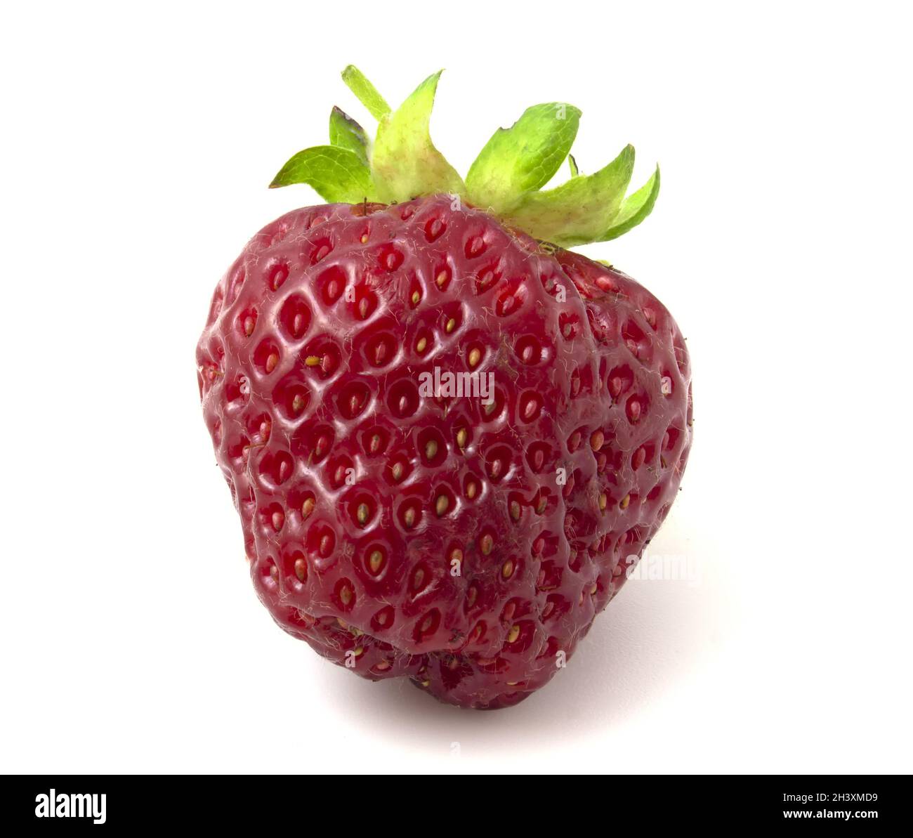 Fragole rosse isolate su sfondo bianco. Foto Stock
