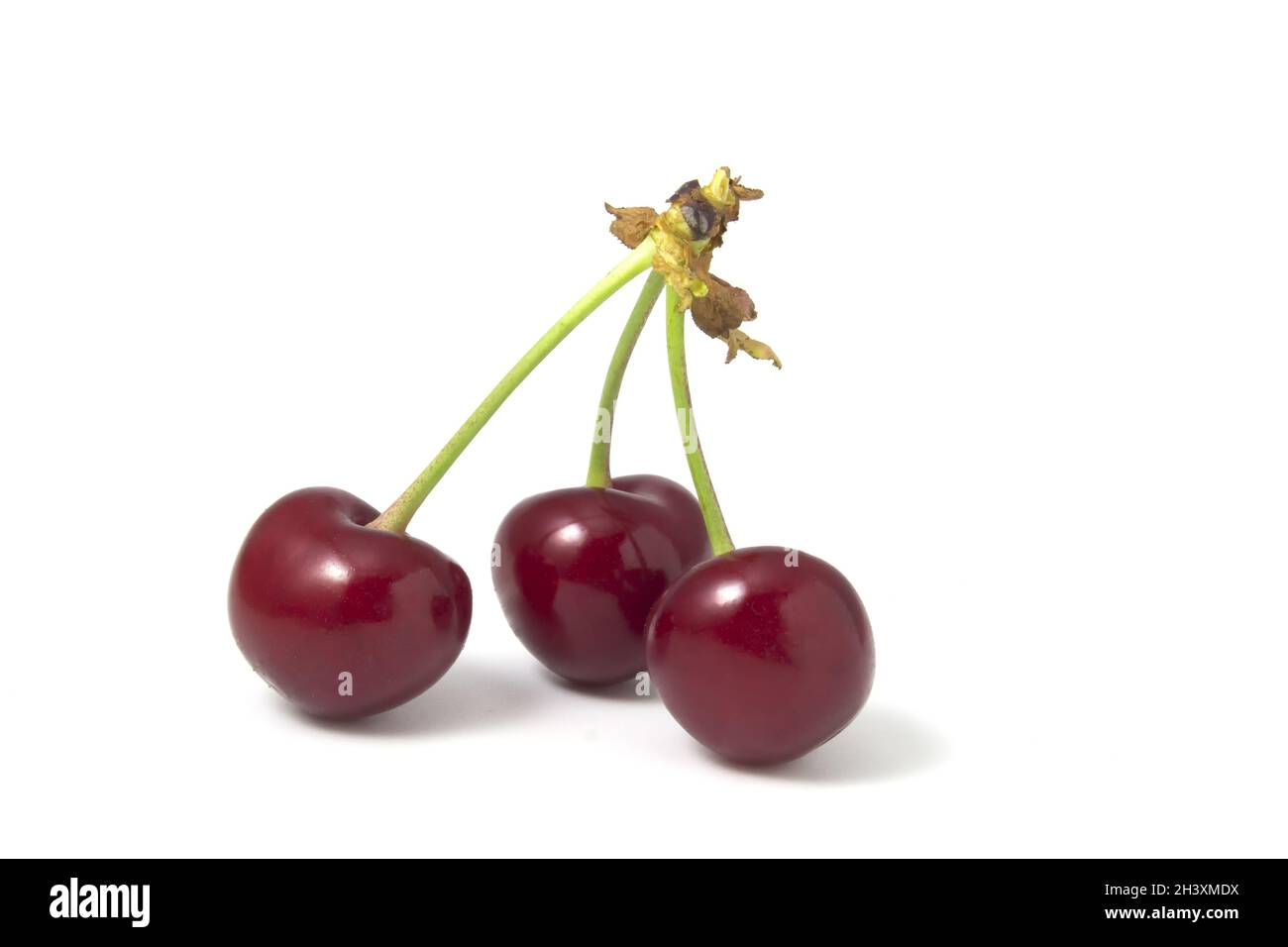 Tre ciliegie isolate su sfondo bianco. Frutta fresca a fuoco pieno. Foto Stock