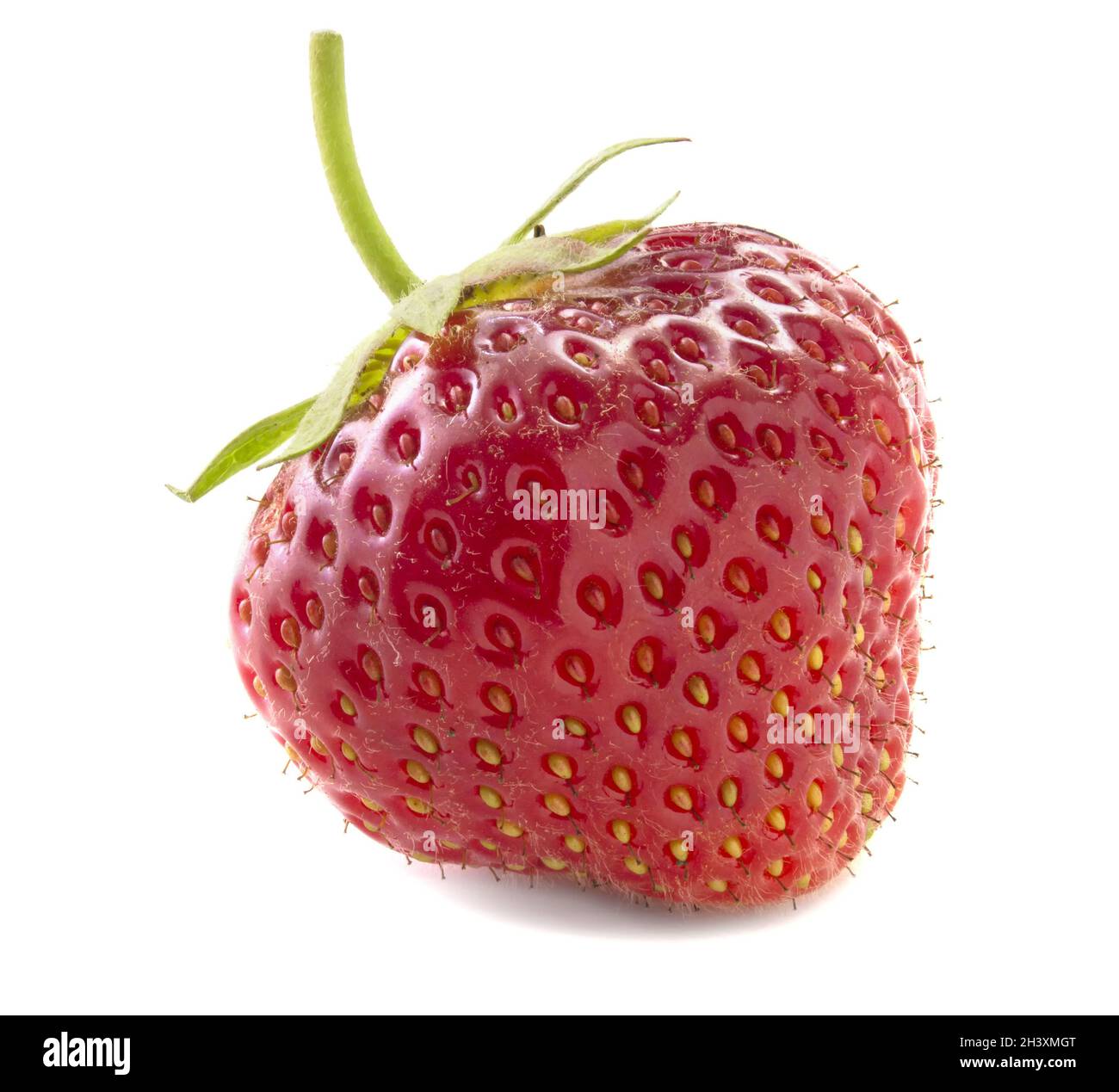 Fragole fresche isolate su sfondo bianco. Fragole rosse mature, frutti di bosco deliziosi. Profondità di campo completa Foto Stock