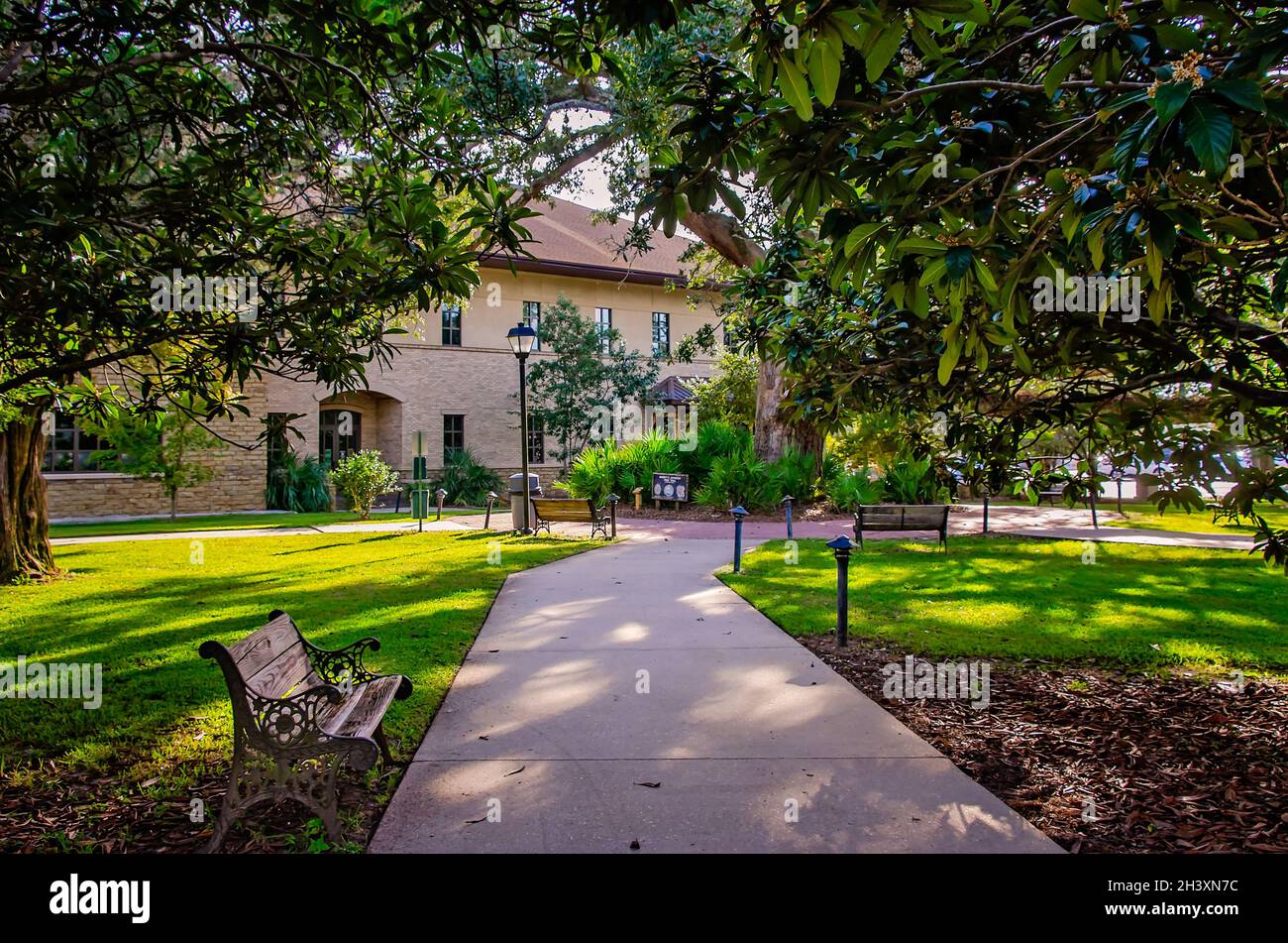 Un percorso ombreggiato conduce al John L. Borom Center of Health & Natural Science sul campus Coastal Alabama Community College di Fairhope, Alabama. Foto Stock
