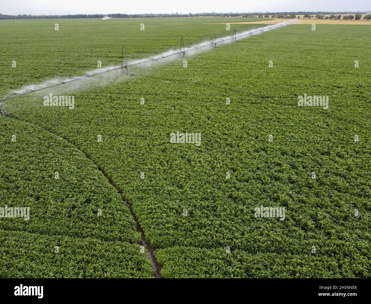 Ampio campo rotondo di soia con annaffiatura automatica, un sistema per innaffiare le colture Foto Stock