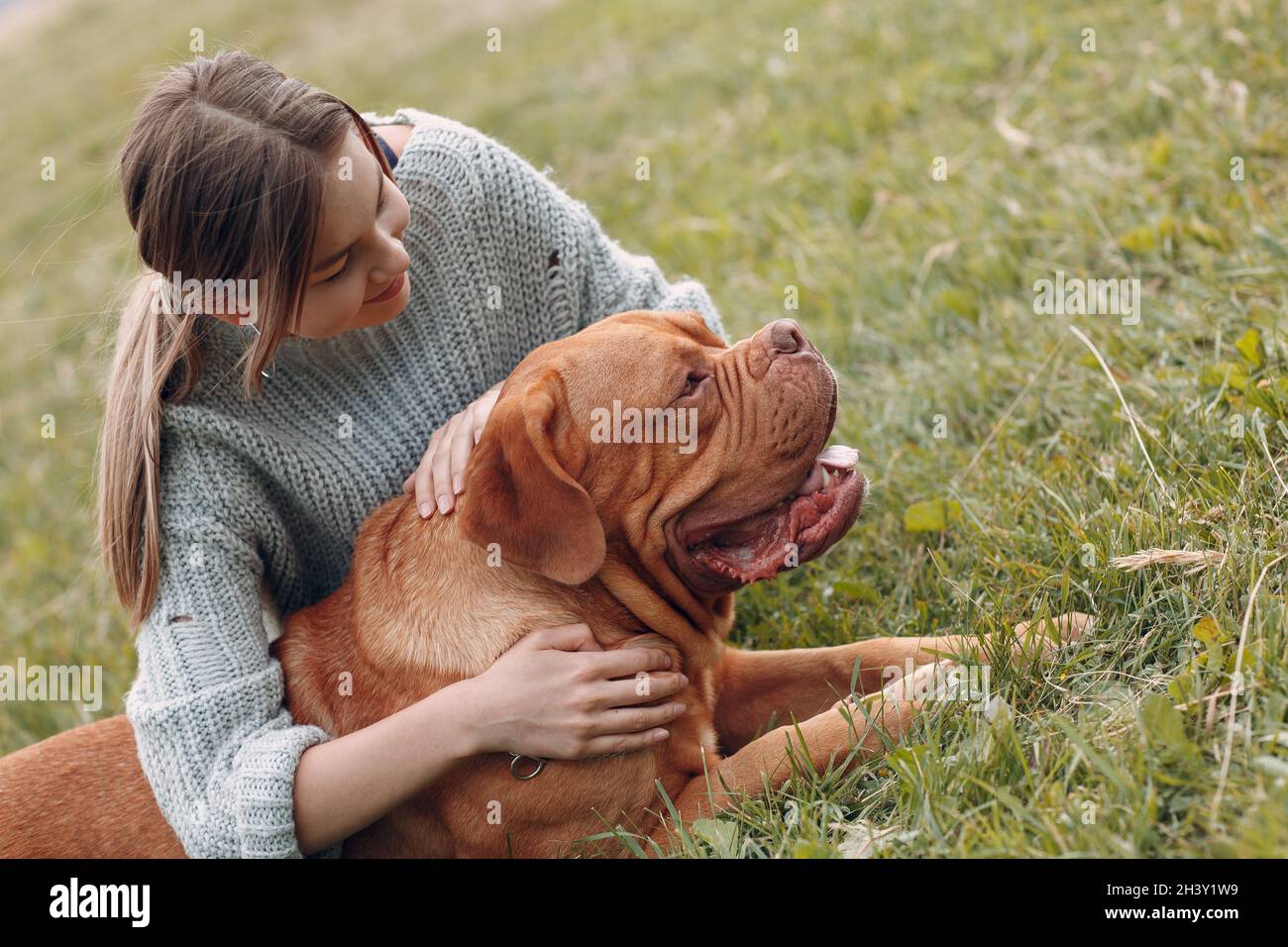 Dogue de Bordeaux o francese Mastiff con giovane donna a. prato all'aperto Foto Stock