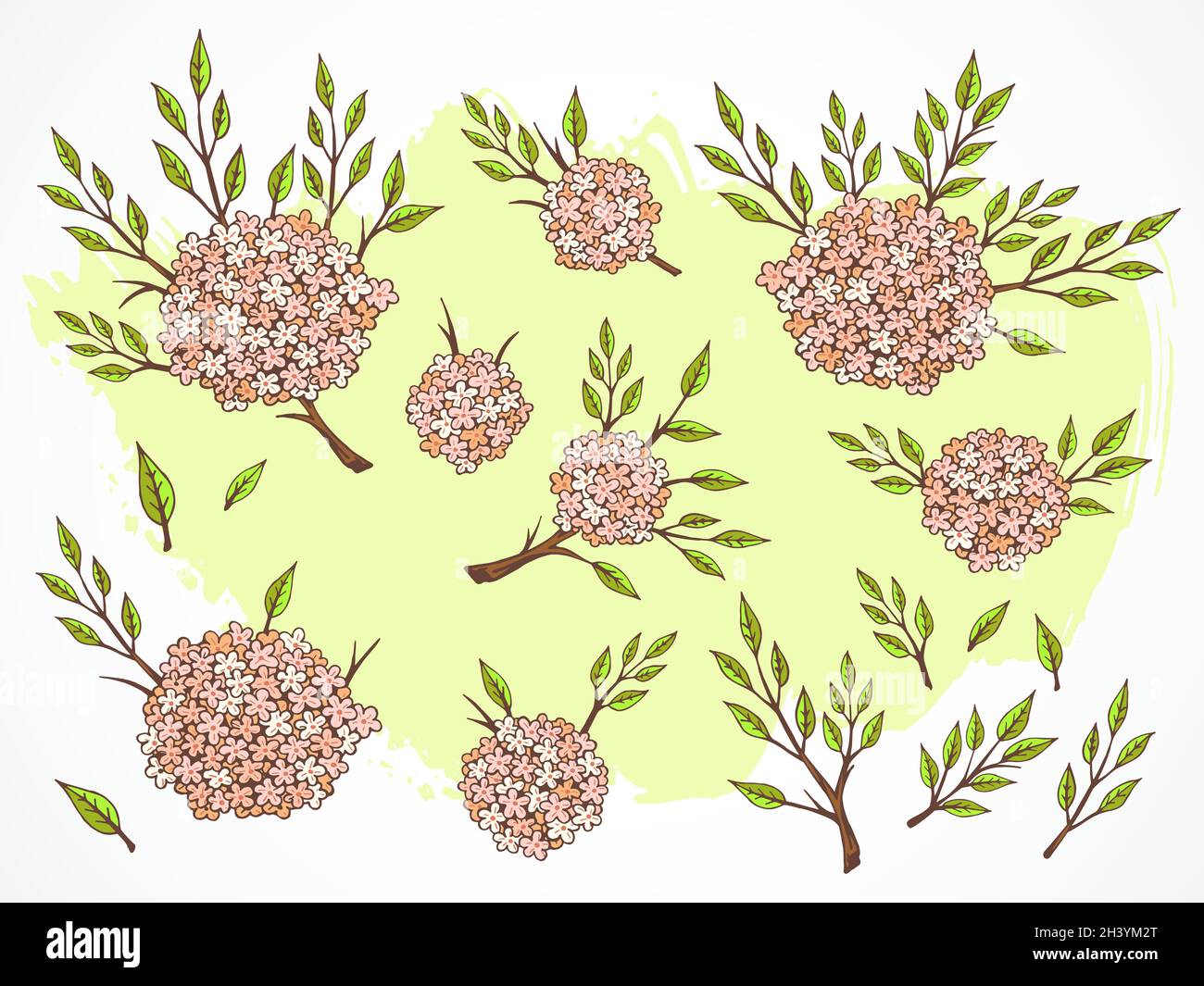 Set vettoriale di fiori, rami e foglie disegnati a mano su sfondo testurizzato. Nei colori rosa e verde. Illustrazione Vettoriale