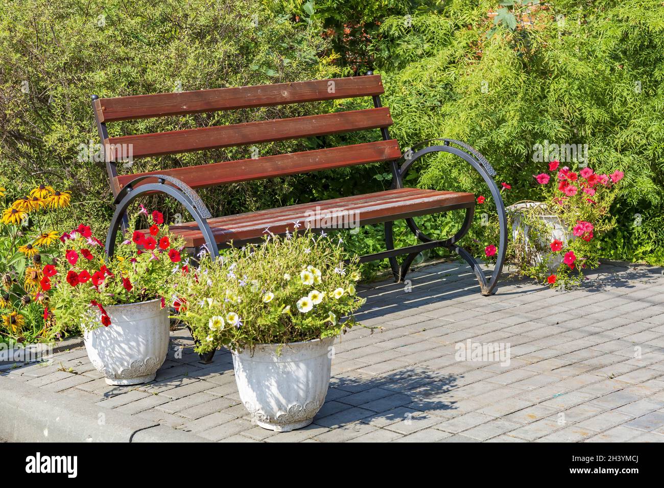 Confortevole panca in legno nel parco cittadino estivo Foto Stock