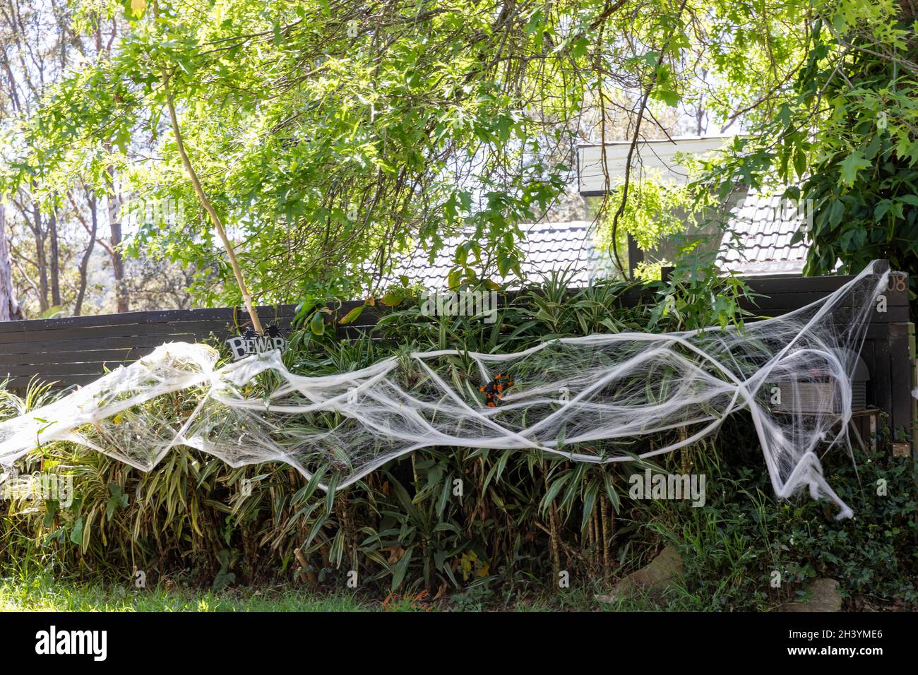 Casa di Sydney e recinzione giardino decorato per le celebrazioni di Halloween, Australia Foto Stock