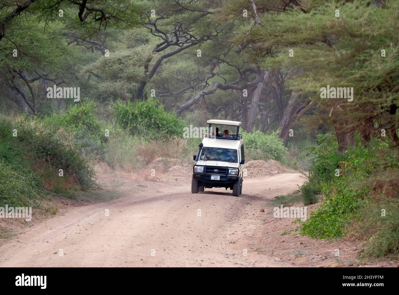 I turisti in un fuoristrada 4x4 chiuso Toyota Landcruiser safari veicolo con un pop-top tetto guida attraverso il Lago Manyara Parco Nazionale situato nella regione di Arusha Tanzania Eastern Africa Foto Stock