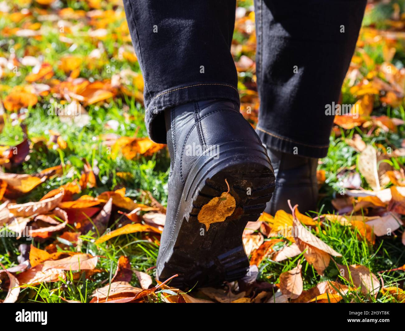 Un uomo che cammina in autunno parte dopo la pioggia. Una persona in stivali chelsea cammina nel parco autunnale. Vista strada, foto di viaggio, messa a fuoco selettiva. Foto Stock