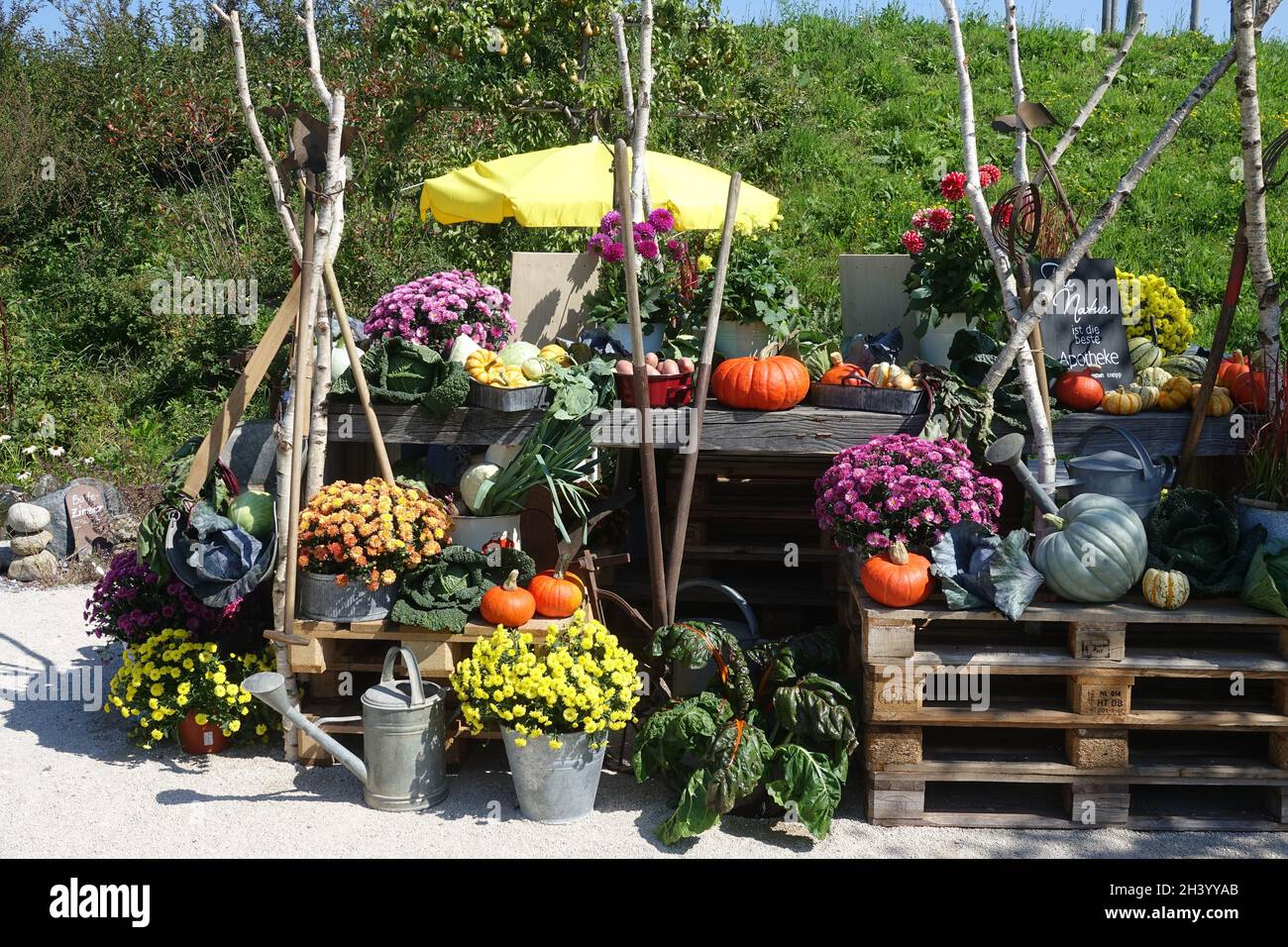 Grazie, verdure e fiori Foto Stock