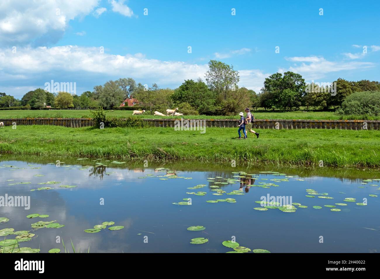 Camminatori lungo l'alzaia del fiume Rother nel Kent, Regno Unito Foto Stock