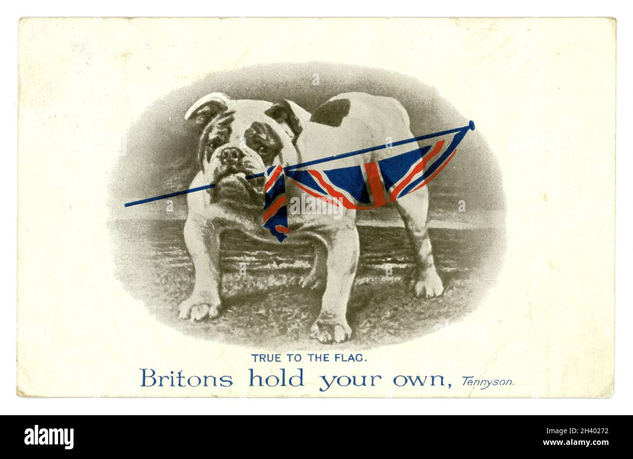 Cartolina originale dell'era WW1 del bulldog che tiene una bandiera del Jack dell'Unione, allineare alla bandiera, la citazione del Tennyson i Britannici tengono il vostro proprio, da C.W. Faulkner & Co.Ltd London serie 1458, postato 1914. Foto Stock
