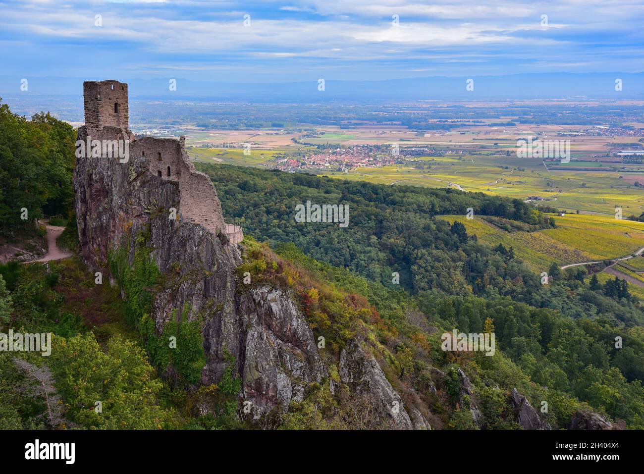 Rovine del Château du Girsberg (Castello di Girsberg) nei Vosgi vicino Ribeauvillé in Alsazia, sullo sfondo la pianura del Reno tra Alsazia e il Foto Stock