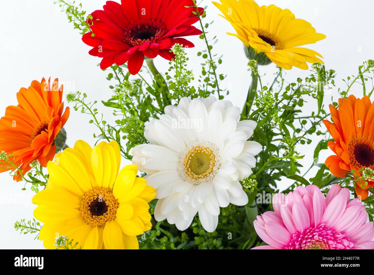 Fiori sfondo bouquet Foto Stock