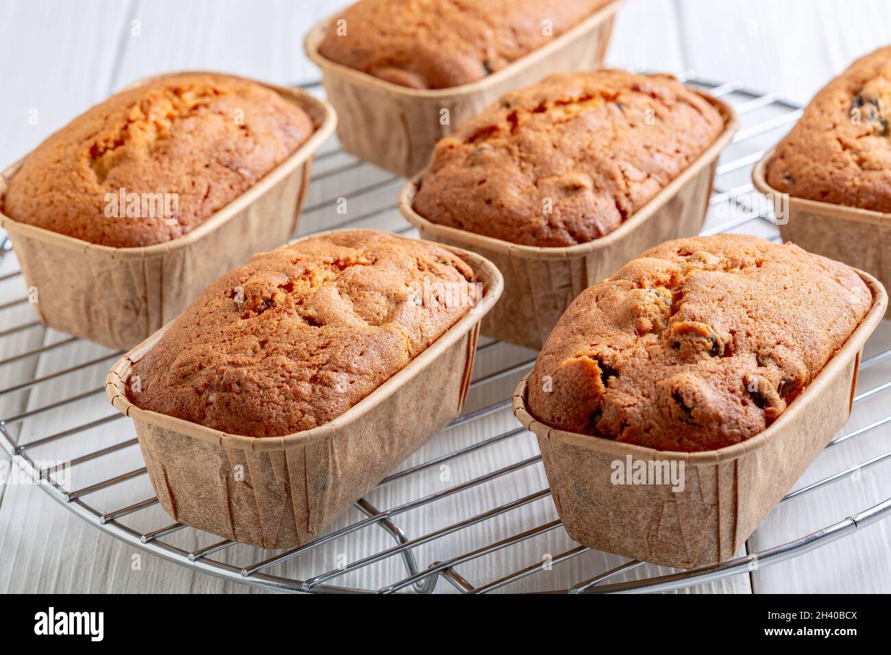 Mini pani di cupcake appena sfornati con uvetta. Foto Stock