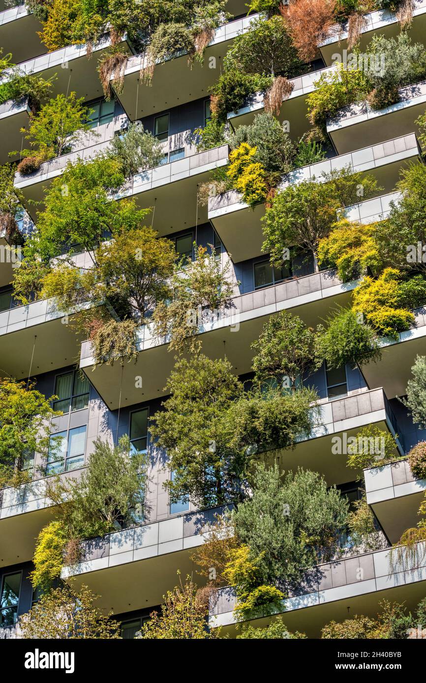 Bosco verticale, torri residenziali, quartiere porta Nuova, Milano, Lombardia, Italia Foto Stock