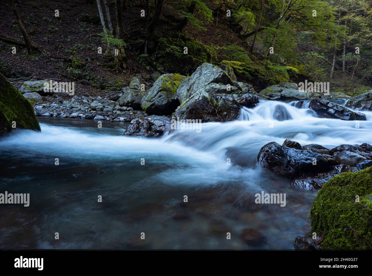 L'immagine dell'otturatore lento del fiume Tama che scorre su massi nella foresta di Okutama in Giappone. Bel fiume e alberi autunnali Foto Stock