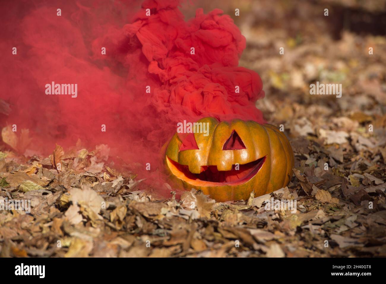 Bomba di fumo zucca di Halloween. Foresta Foto Stock