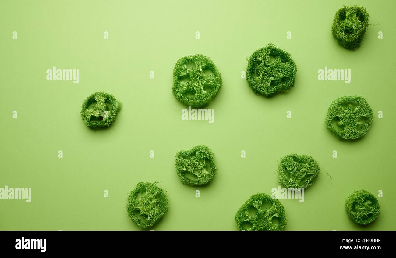 Pezzi verdi di loofah su sfondo verde, vista dall'alto Foto Stock
